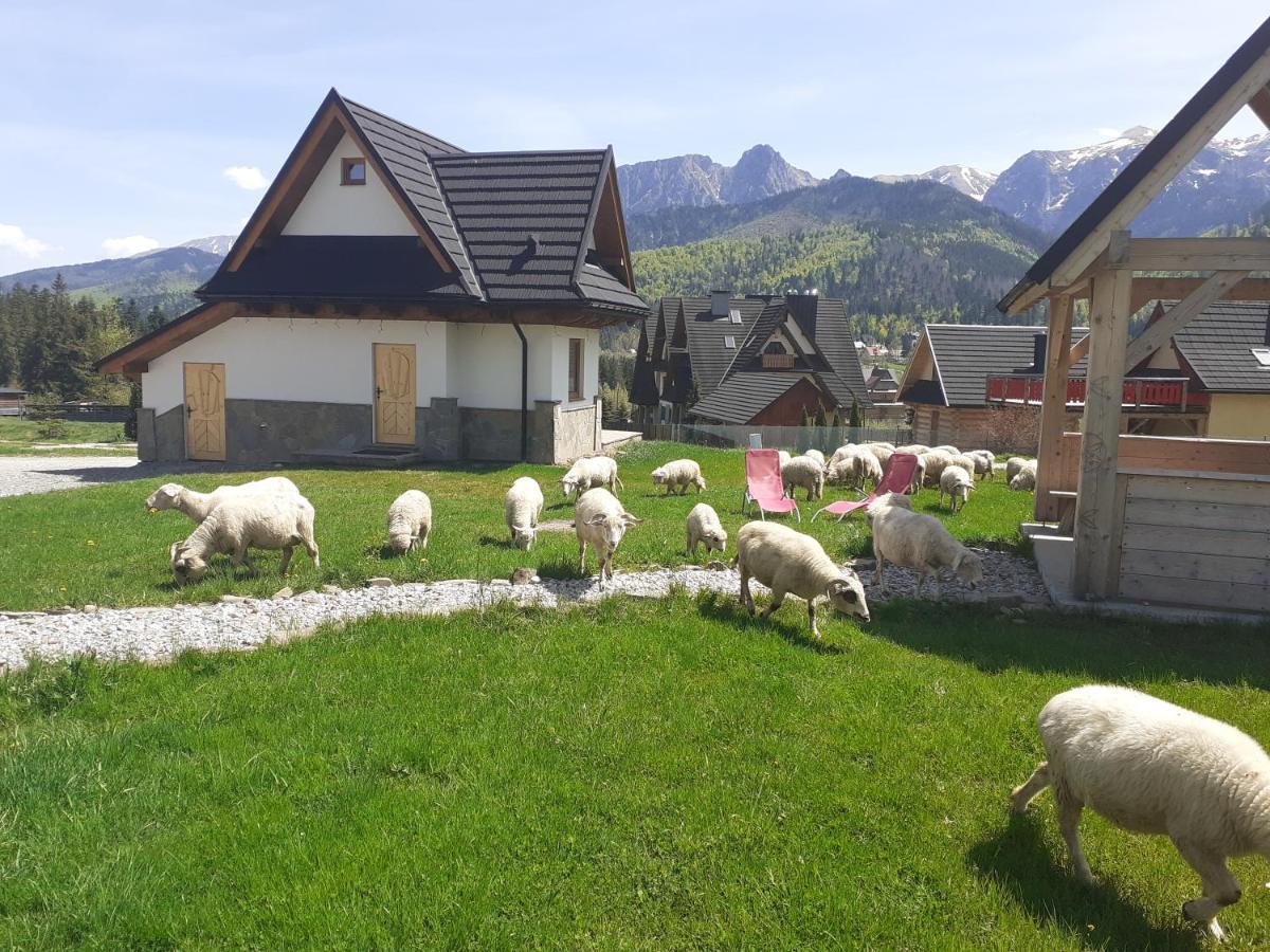 Widokowka Tatry Pokoje I Apartamenty Koscielisko Exterior photo