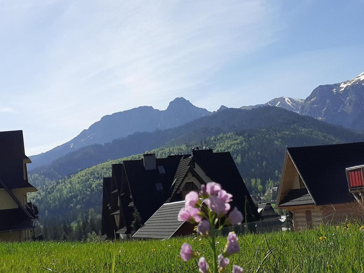 Widokowka Tatry Pokoje I Apartamenty Koscielisko Exterior photo