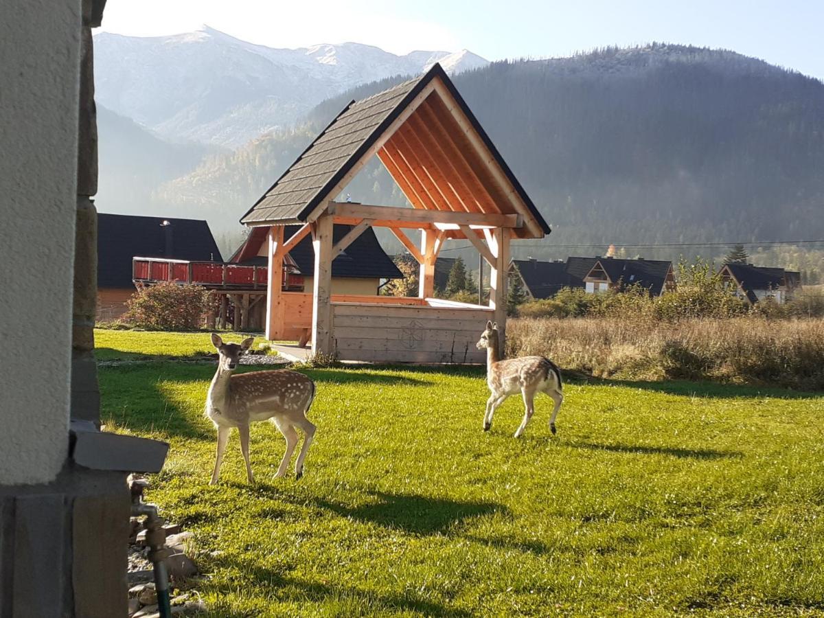 Widokowka Tatry Pokoje I Apartamenty Koscielisko Exterior photo