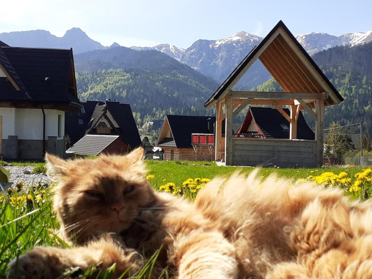 Widokowka Tatry Pokoje I Apartamenty Koscielisko Exterior photo