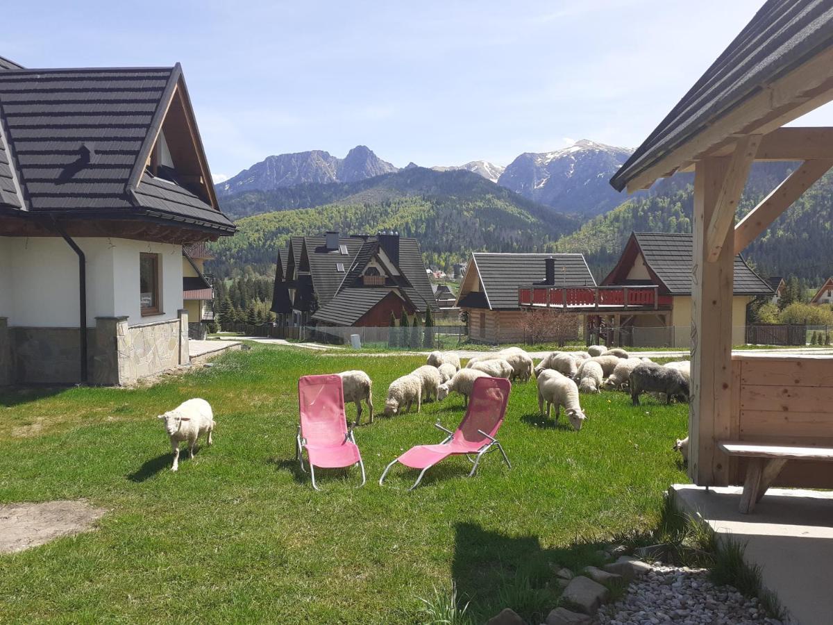 Widokowka Tatry Pokoje I Apartamenty Koscielisko Exterior photo